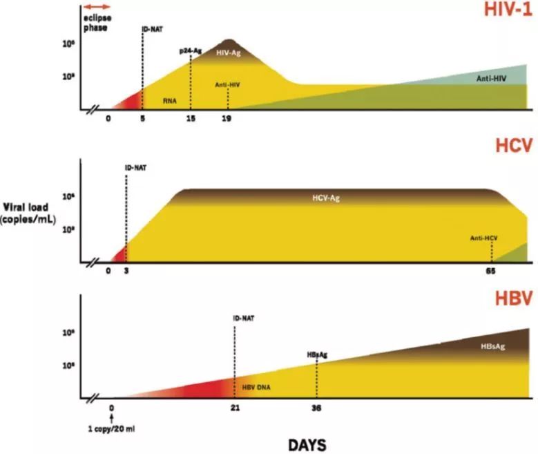 感染各標志物檢測的“窗口期”示意圖